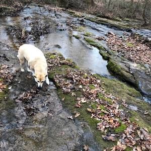 Meet your Posher, Gavin